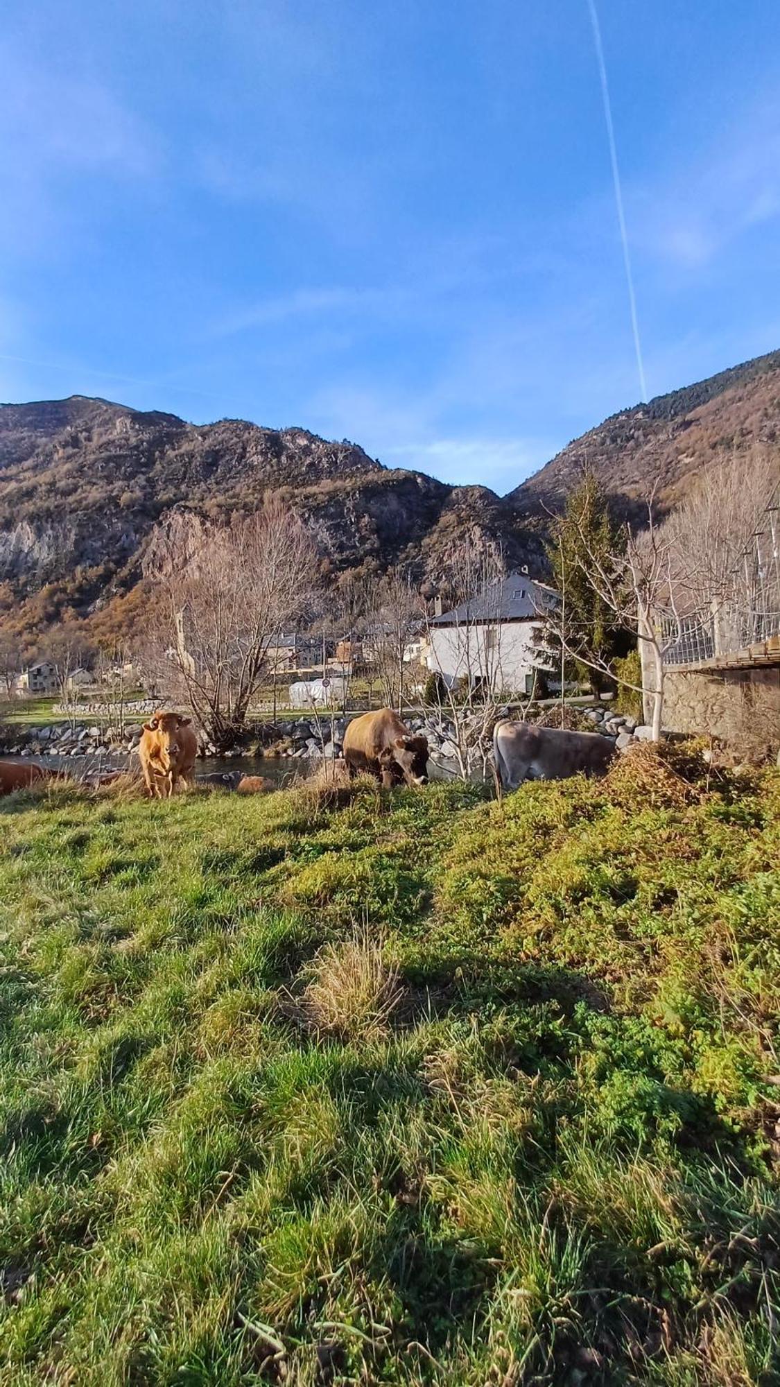 Apartamentos L'Era De Baix Barruera Eksteriør bilde